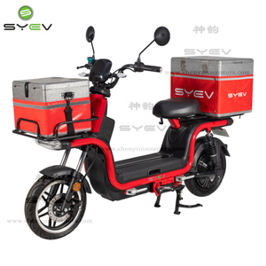 Long Range Casio Electric Delivery Bike Cum Dual Batteries.