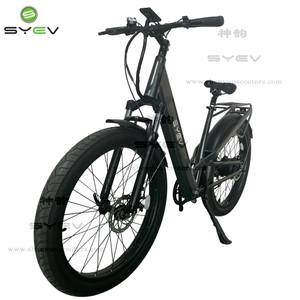 Lithium altilium Electric bicycle