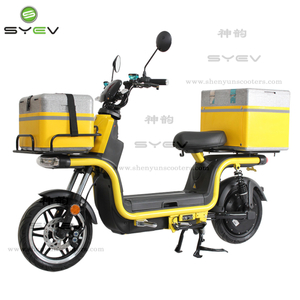 2022 Most Popular Electric Delivery Bike For Pizza 1200W Powerful 